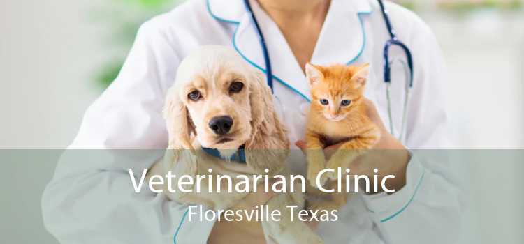 Veterinarian Clinic Floresville Texas