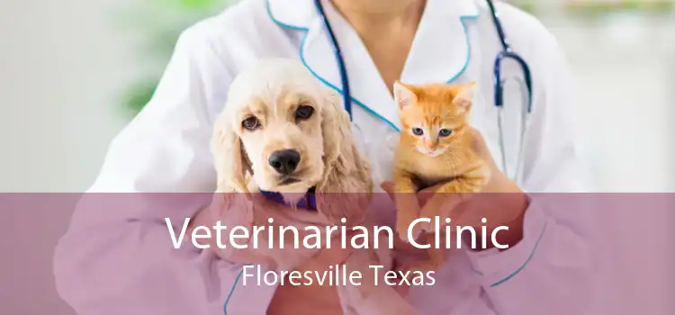 Veterinarian Clinic Floresville Texas