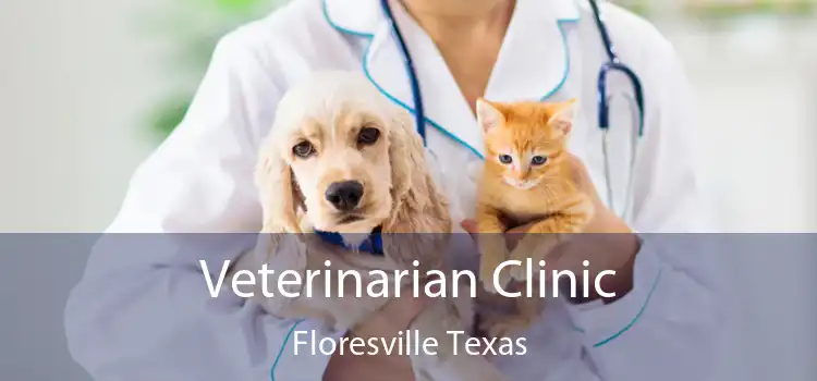 Veterinarian Clinic Floresville Texas