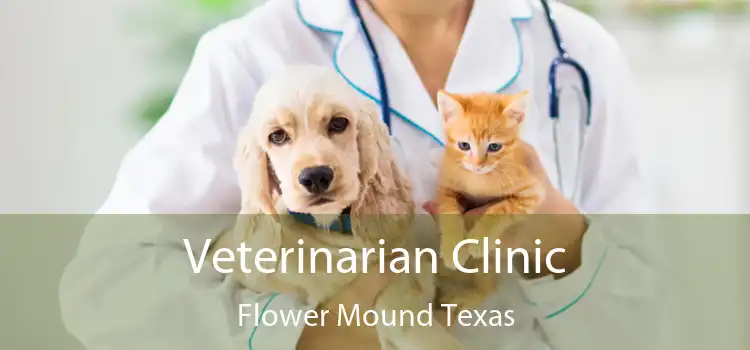 Veterinarian Clinic Flower Mound Texas