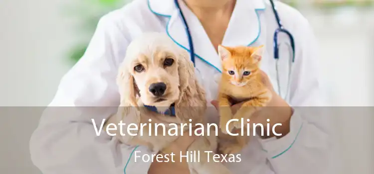 Veterinarian Clinic Forest Hill Texas