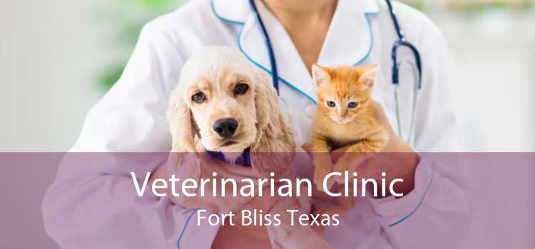 Veterinarian Clinic Fort Bliss Texas