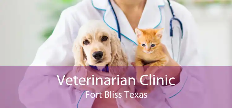 Veterinarian Clinic Fort Bliss Texas