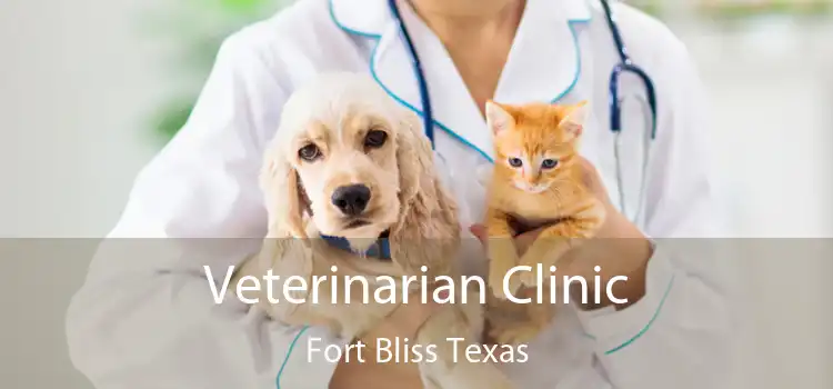 Veterinarian Clinic Fort Bliss Texas