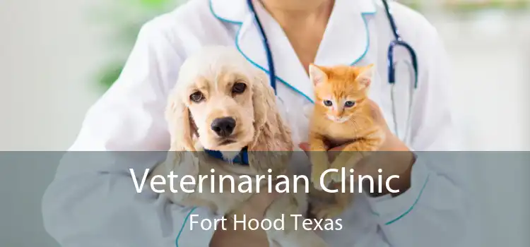 Veterinarian Clinic Fort Hood Texas