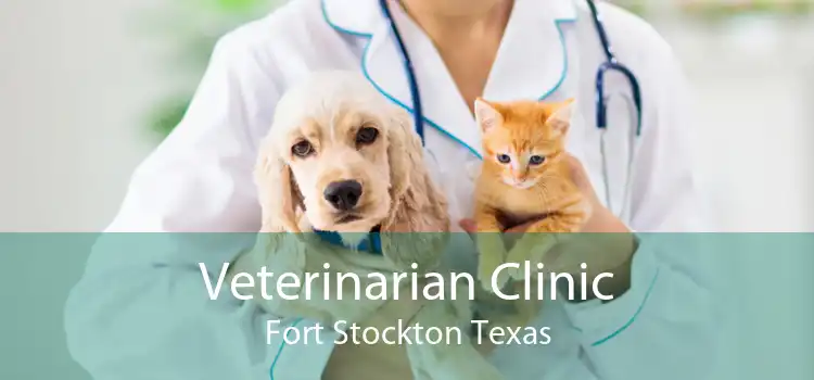 Veterinarian Clinic Fort Stockton Texas