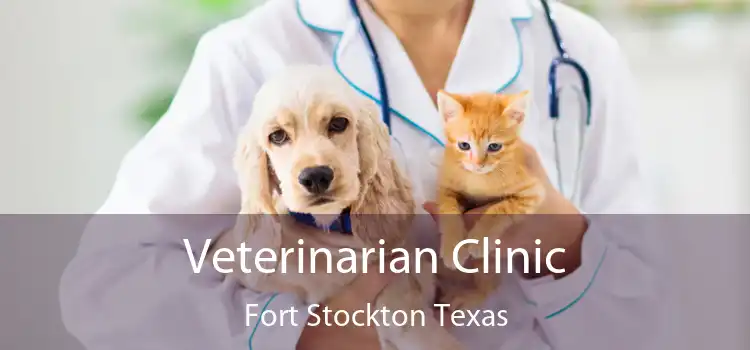 Veterinarian Clinic Fort Stockton Texas