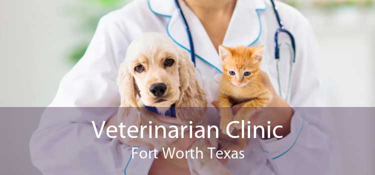 Veterinarian Clinic Fort Worth Texas