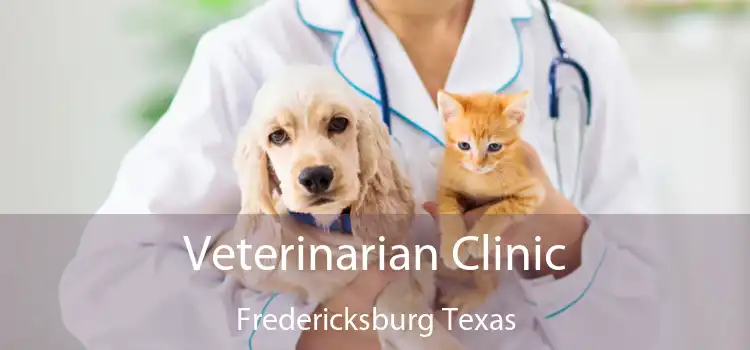 Veterinarian Clinic Fredericksburg Texas