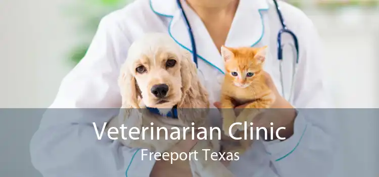 Veterinarian Clinic Freeport Texas