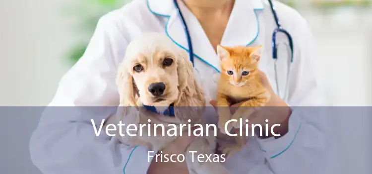 Veterinarian Clinic Frisco Texas