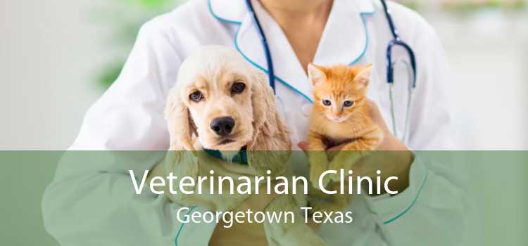 Veterinarian Clinic Georgetown Texas