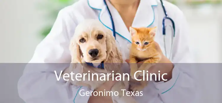 Veterinarian Clinic Geronimo Texas