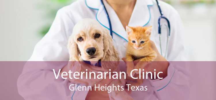 Veterinarian Clinic Glenn Heights Texas