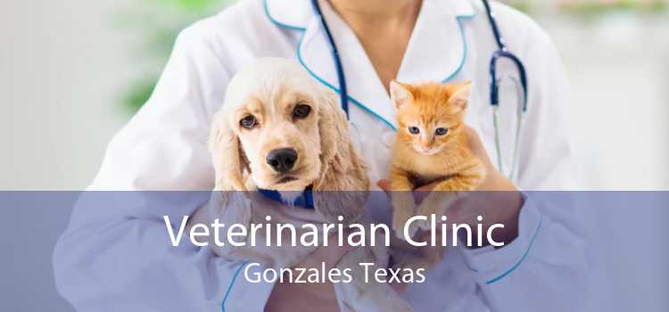 Veterinarian Clinic Gonzales Texas