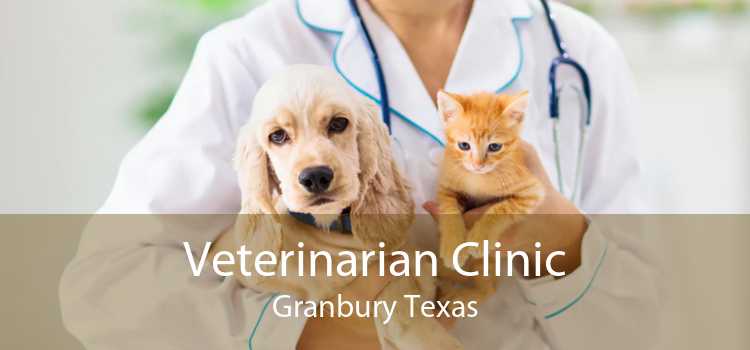 Veterinarian Clinic Granbury Texas