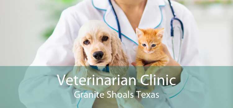 Veterinarian Clinic Granite Shoals Texas