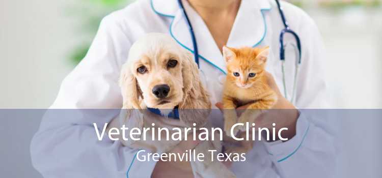 Veterinarian Clinic Greenville Texas