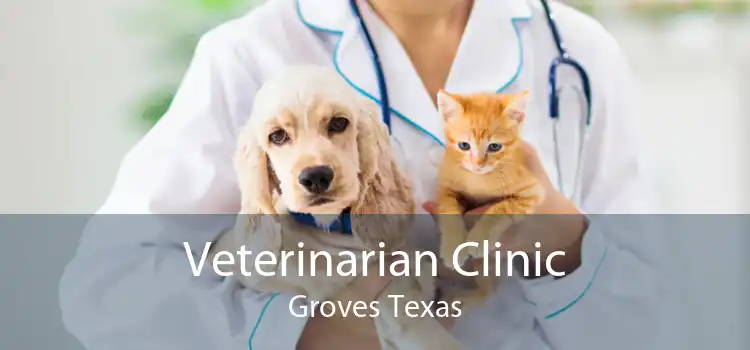 Veterinarian Clinic Groves Texas