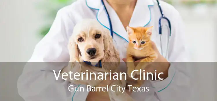 Veterinarian Clinic Gun Barrel City Texas