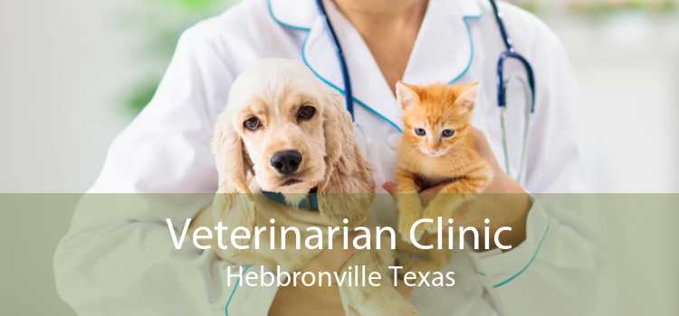 Veterinarian Clinic Hebbronville Texas