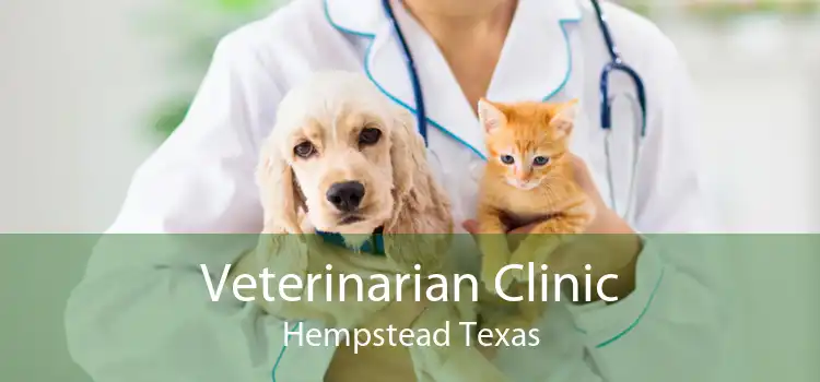 Veterinarian Clinic Hempstead Texas
