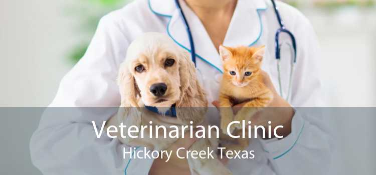Veterinarian Clinic Hickory Creek Texas