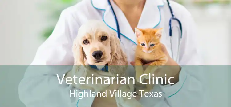 Veterinarian Clinic Highland Village Texas