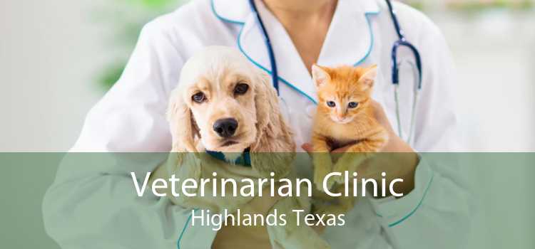 Veterinarian Clinic Highlands Texas