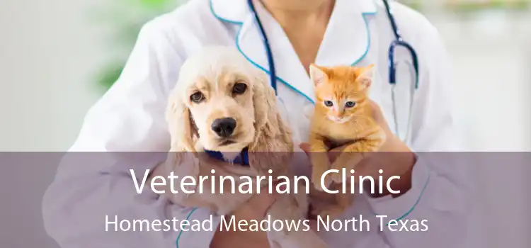 Veterinarian Clinic Homestead Meadows North Texas