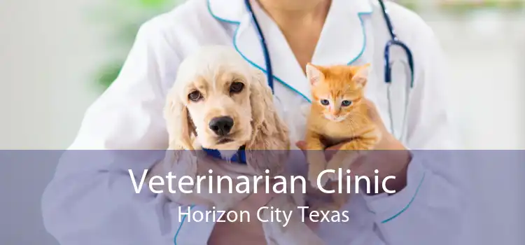 Veterinarian Clinic Horizon City Texas