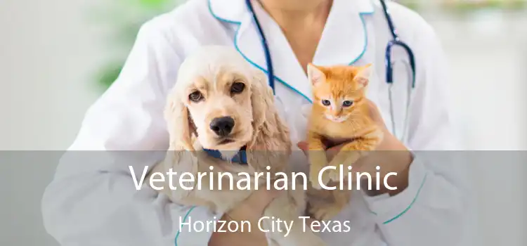 Veterinarian Clinic Horizon City Texas