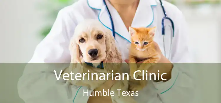 Veterinarian Clinic Humble Texas