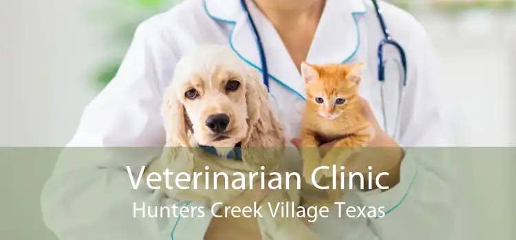 Veterinarian Clinic Hunters Creek Village Texas
