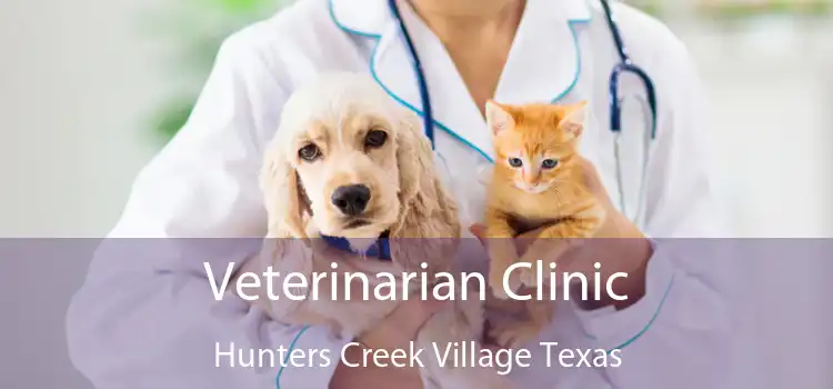 Veterinarian Clinic Hunters Creek Village Texas