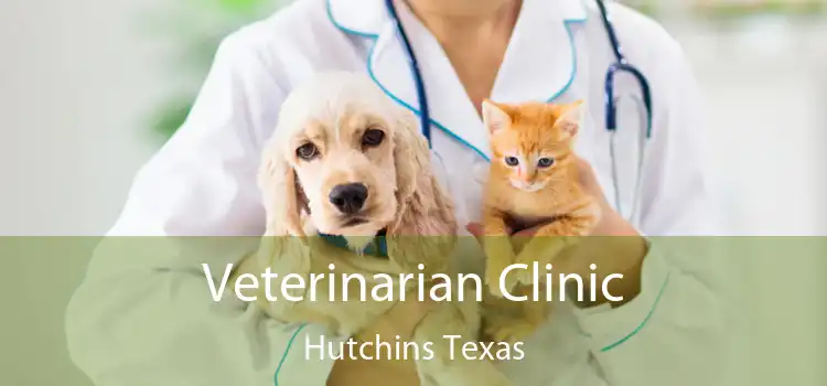 Veterinarian Clinic Hutchins Texas