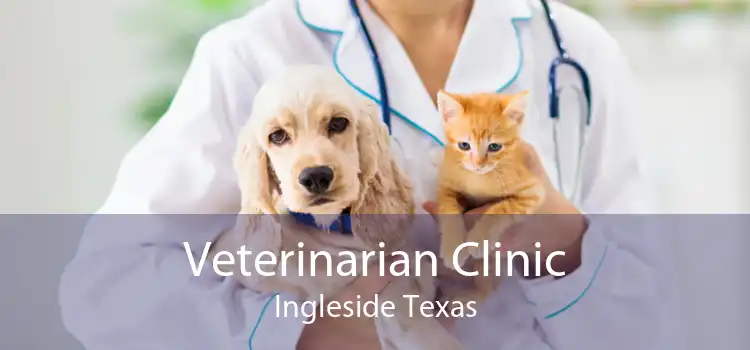 Veterinarian Clinic Ingleside Texas