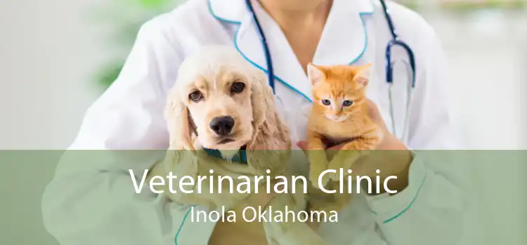 Veterinarian Clinic Inola Oklahoma
