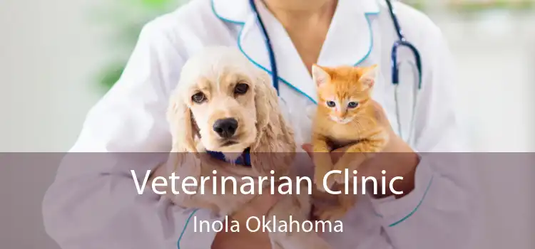 Veterinarian Clinic Inola Oklahoma