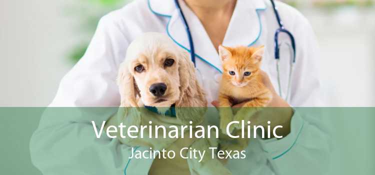 Veterinarian Clinic Jacinto City Texas