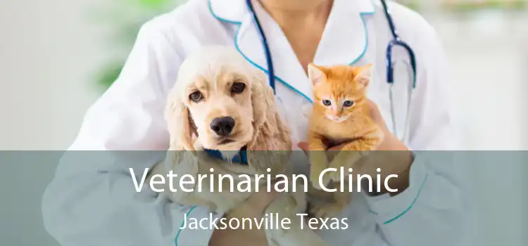 Veterinarian Clinic Jacksonville Texas