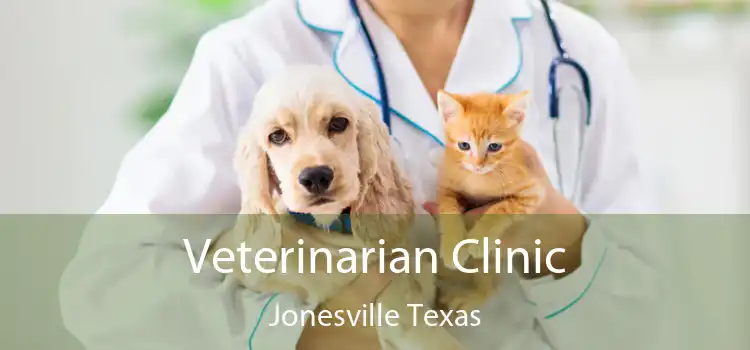 Veterinarian Clinic Jonesville Texas