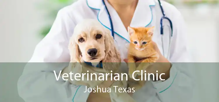 Veterinarian Clinic Joshua Texas