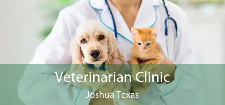 Veterinarian Clinic Joshua Texas