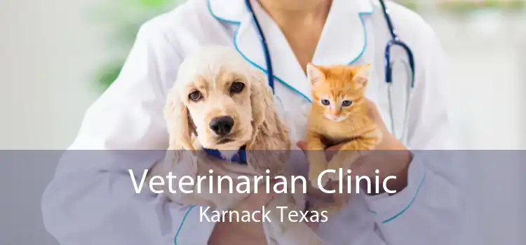 Veterinarian Clinic Karnack Texas