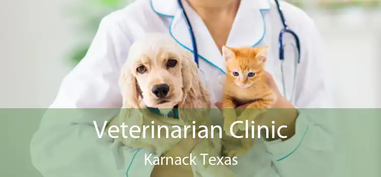 Veterinarian Clinic Karnack Texas