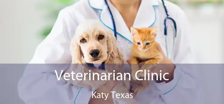 Veterinarian Clinic Katy Texas