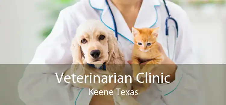 Veterinarian Clinic Keene Texas