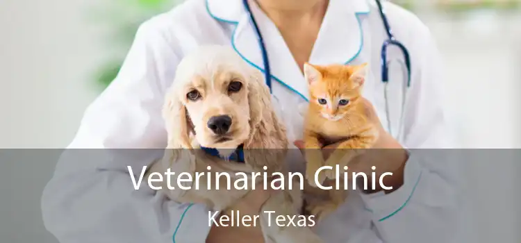 Veterinarian Clinic Keller Texas