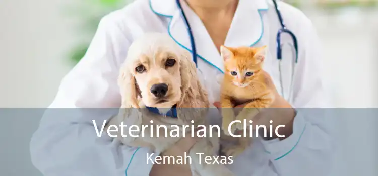 Veterinarian Clinic Kemah Texas